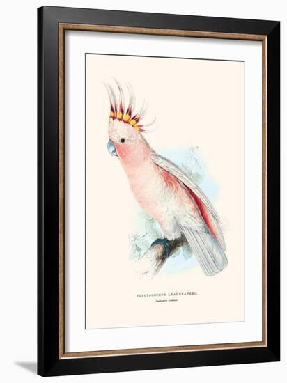 Leadbeater's Cockatoo - Cocatua Leadbeateri-Edward Lear-Framed Art Print