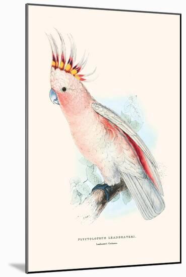 Leadbeater's Cockatoo - Cocatua Leadbeateri-Edward Lear-Mounted Art Print