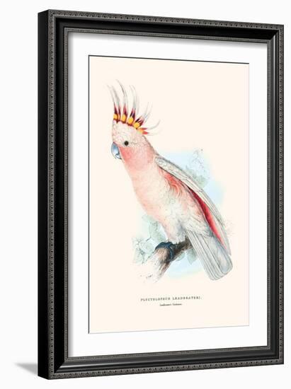 Leadbeater's Cockatoo - Cocatua Leadbeateri-Edward Lear-Framed Art Print