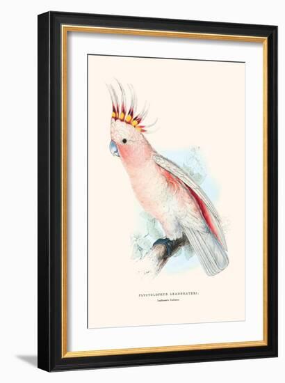 Leadbeater's Cockatoo - Cocatua Leadbeateri-Edward Lear-Framed Art Print