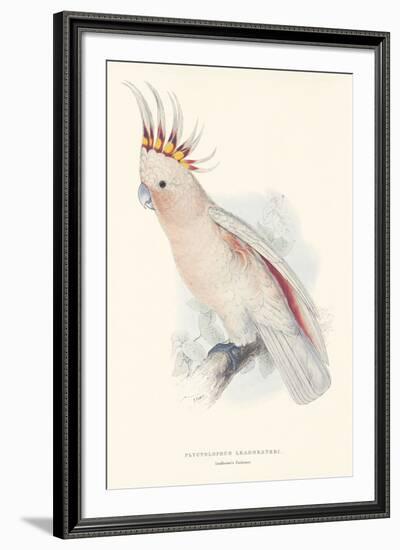 Leadbeater's Cockatoo-Edward Lear-Framed Giclee Print