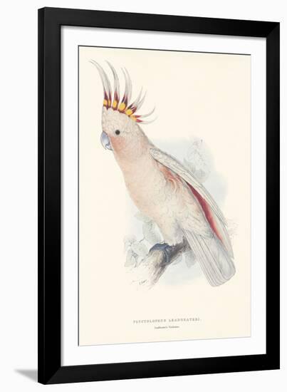 Leadbeater's Cockatoo-Edward Lear-Framed Giclee Print