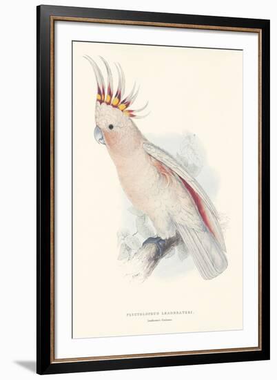 Leadbeater's Cockatoo-Edward Lear-Framed Giclee Print