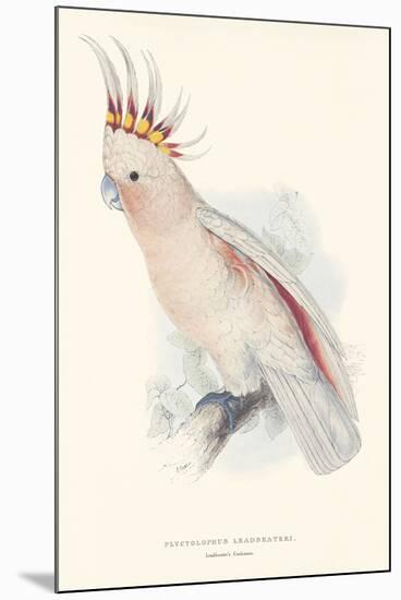 Leadbeater's Cockatoo-Edward Lear-Mounted Giclee Print