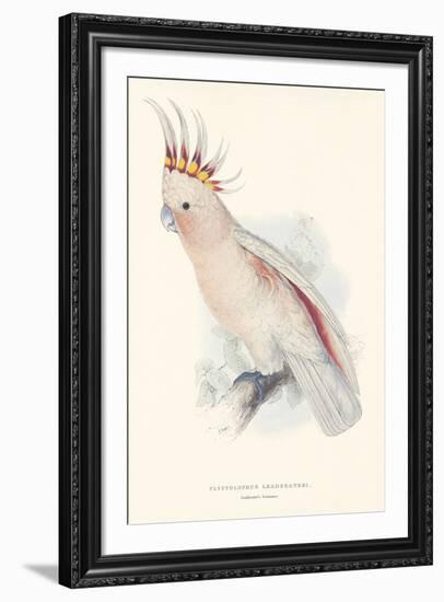 Leadbeater's Cockatoo-Edward Lear-Framed Giclee Print