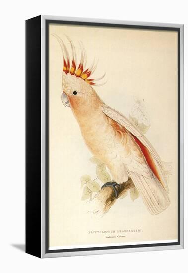 Leadbeater'S, Major Mitchell'S, or Pink Cockatoo-Edward Lear-Framed Premier Image Canvas