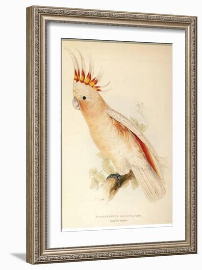 Leadbeater'S, Major Mitchell'S, or Pink Cockatoo-Edward Lear-Framed Giclee Print