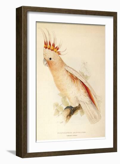 Leadbeater'S, Major Mitchell'S, or Pink Cockatoo-Edward Lear-Framed Giclee Print