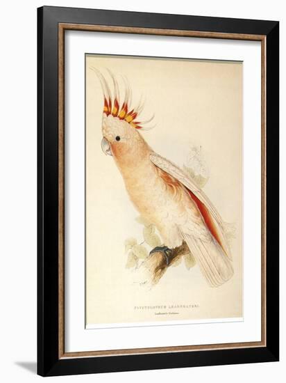 Leadbeater'S, Major Mitchell'S, or Pink Cockatoo-Edward Lear-Framed Giclee Print