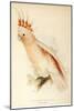 Leadbeater'S, Major Mitchell'S, or Pink Cockatoo-Edward Lear-Mounted Giclee Print