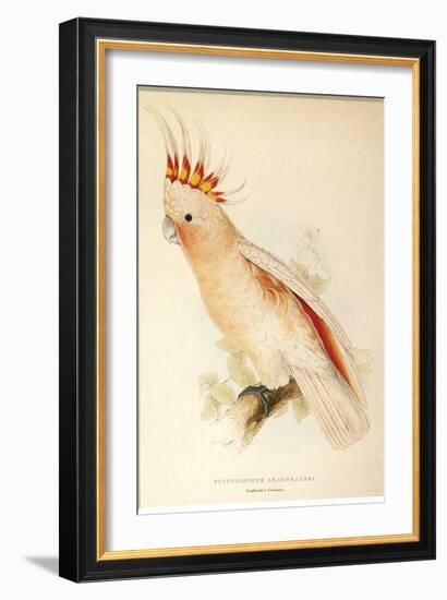 Leadbeater'S, Major Mitchell'S, or Pink Cockatoo-Edward Lear-Framed Giclee Print