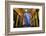 Leadenhall Market and Lloyds Building, London, United Kingdom, Europe-Neil Farrin-Framed Photographic Print