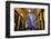 Leadenhall Market and Lloyds Building, London, United Kingdom, Europe-Neil Farrin-Framed Photographic Print