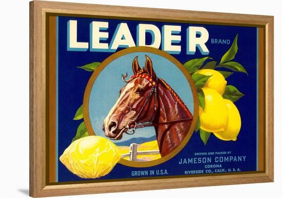 Leader Lemon Label-null-Framed Stretched Canvas