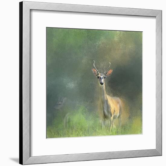 Leader of the Herd White Tailed Buck-Jai Johnson-Framed Giclee Print