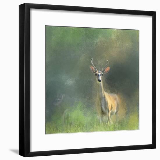 Leader of the Herd White Tailed Buck-Jai Johnson-Framed Giclee Print