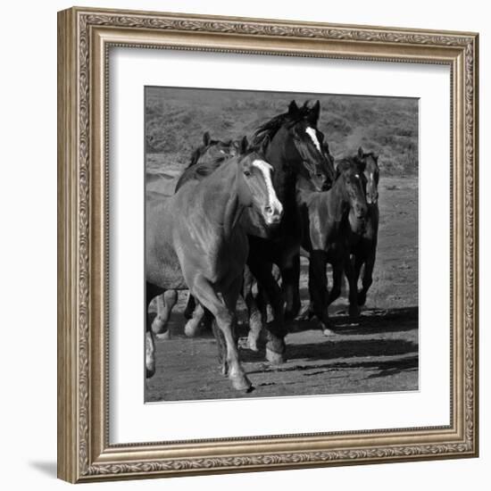 Leader of the Pack-Wendy Caro-Framed Giclee Print