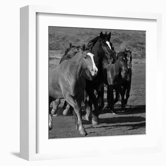 Leader of the Pack-Wendy Caro-Framed Giclee Print