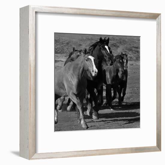 Leader of the Pack-Wendy Caro-Framed Giclee Print