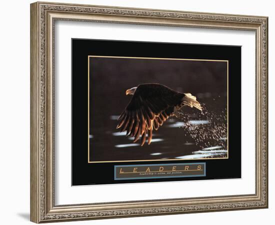 Leaders - Bald Eagle-Unknown Unknown-Framed Photo