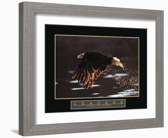 Leaders - Bald Eagle-Unknown Unknown-Framed Photo