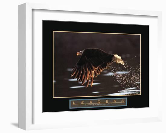 Leaders - Bald Eagle-Unknown Unknown-Framed Photo