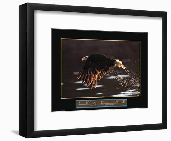 Leaders - Bald Eagle-Unknown Unknown-Framed Photo