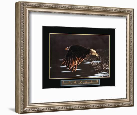Leaders - Bald Eagle-Unknown Unknown-Framed Photo