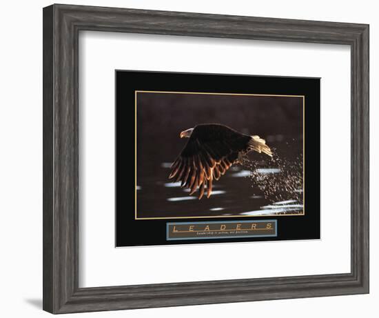 Leaders - Bald Eagle-Unknown Unknown-Framed Photo