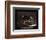 Leaders - Bald Eagle-Unknown Unknown-Framed Photo