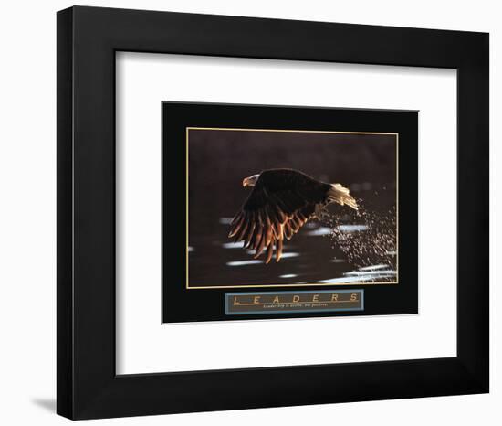 Leaders - Bald Eagle-Unknown Unknown-Framed Photo