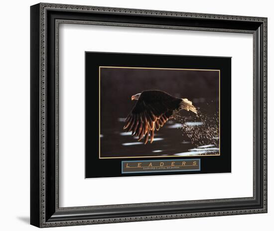 Leaders - Bald Eagle-Unknown Unknown-Framed Photo