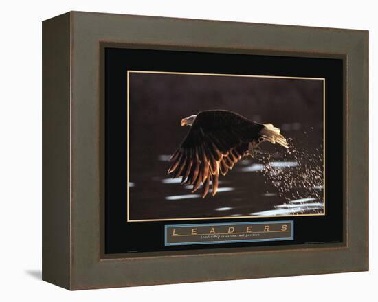 Leaders - Bald Eagle-Unknown Unknown-Framed Stretched Canvas