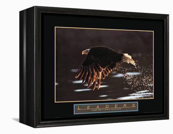 Leaders - Bald Eagle-Unknown Unknown-Framed Stretched Canvas