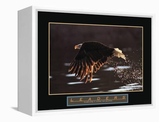 Leaders - Bald Eagle-Unknown Unknown-Framed Stretched Canvas