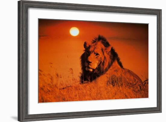 Leadership: Lion-null-Framed Art Print