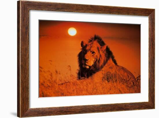 Leadership: Lion-null-Framed Art Print