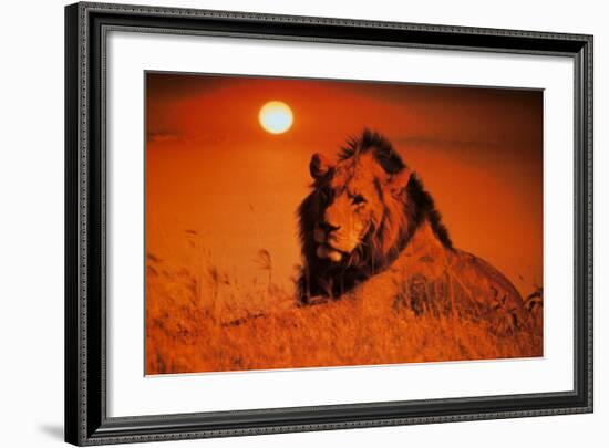 Leadership: Lion-null-Framed Art Print