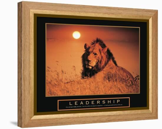 Leadership - Lion-Unknown Unknown-Framed Stretched Canvas