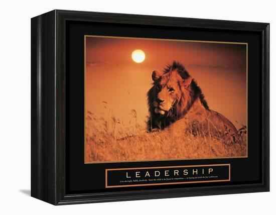 Leadership - Lion-Unknown Unknown-Framed Stretched Canvas