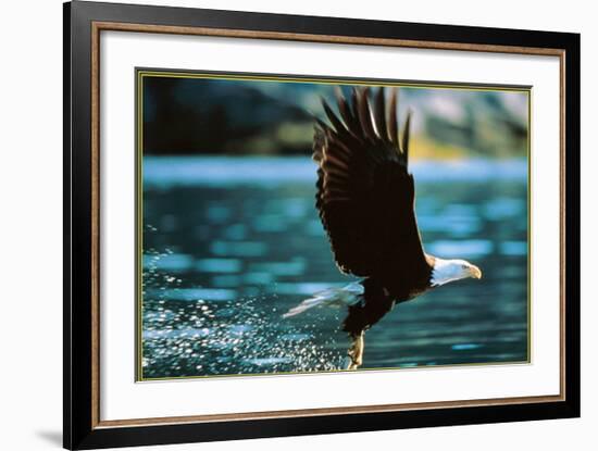 Leadership-null-Framed Art Print