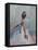 Leading Lady-Peter Hawkins-Framed Premier Image Canvas