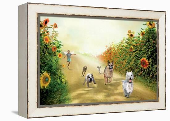 Leading The Pack-Nancy Tillman-Framed Stretched Canvas