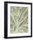 Leaf 12-Botanical Series-Framed Art Print