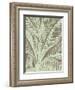 Leaf 12-Botanical Series-Framed Art Print