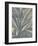 Leaf 1-Botanical Series-Framed Art Print