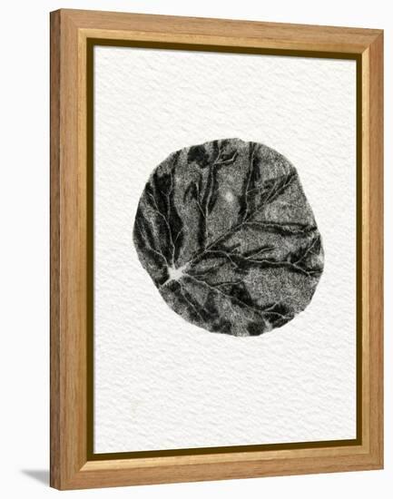 Leaf, 2014-Bella Larsson-Framed Premier Image Canvas