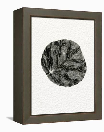 Leaf, 2014-Bella Larsson-Framed Premier Image Canvas