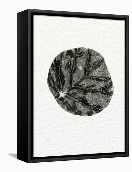 Leaf, 2014-Bella Larsson-Framed Premier Image Canvas