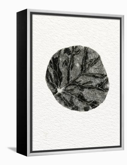 Leaf, 2014-Bella Larsson-Framed Premier Image Canvas